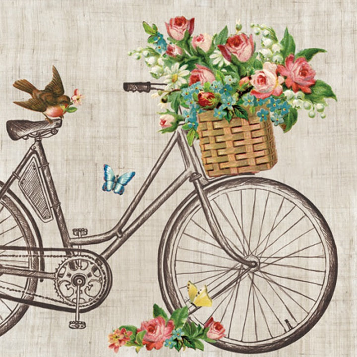 Serwetki do Decoupage -  Robin on Bike / 1 szt | Artmie