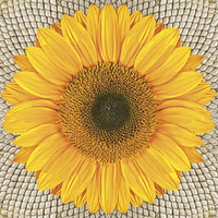 Serwetki do Decoupage -  Sunflower on Seeds  / 1 szt | Artmie