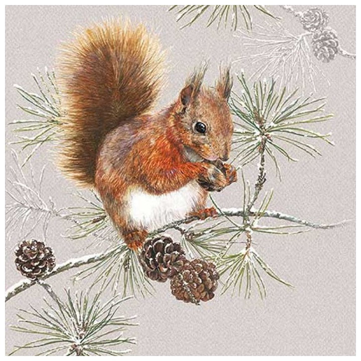 Serwetki do Decoupage Squirrel in Winter  / 1 szt | Artmie