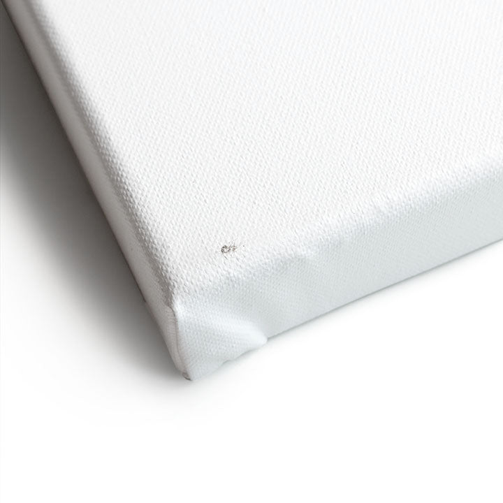 3D Canvas Set | Artmie