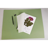 Zielnik CLAIREFONTAINE 180 g/m² 21 x 21 cm - 32 arkusze