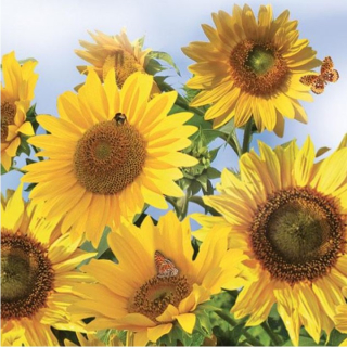 Serwetki do Decoupage - Sunflowers in the Sky / 1 szt